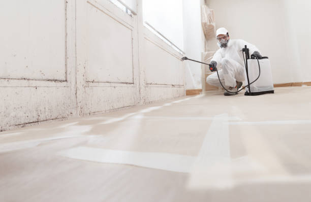 24/7 Emergency Mold Remediation experts in Montrose, VA