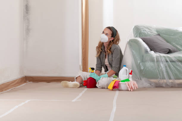 Reliable Mold Remediation contractor in Montrose, VA by 24 Hour Mold Removal